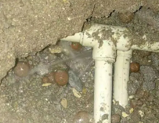 扎鲁特卫生间测漏